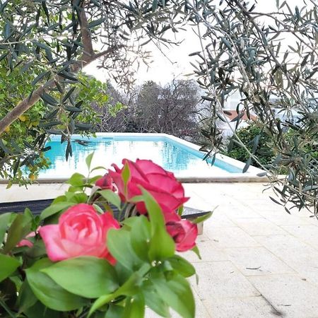 La Casa D'Olhao Villa Quelfes Ngoại thất bức ảnh